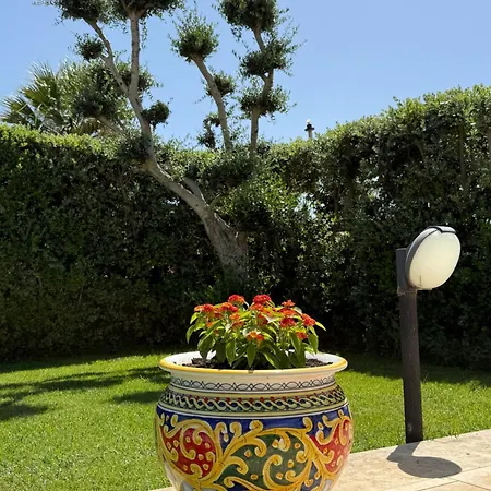 Le Di Palma - Maria * Custonaci