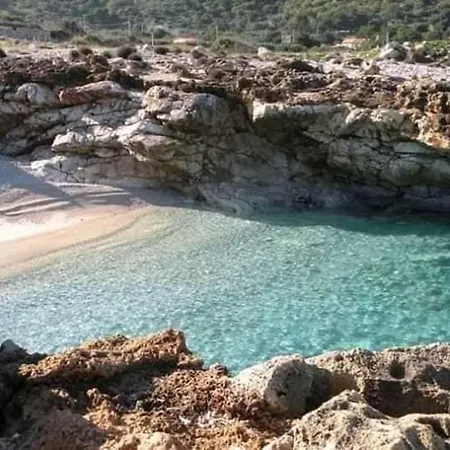 Le Di Palma - Maria * Custonaci
